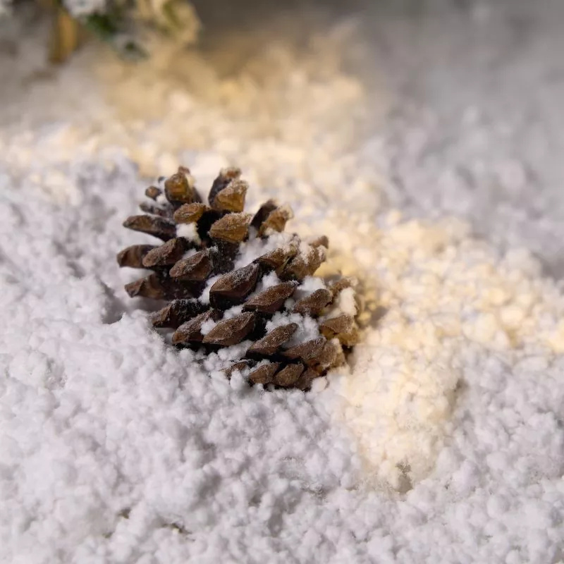 Base de nieve biodegradable